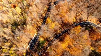 VIDEO DN2L, drum strategic pentru conectivitatea zonei montane a Vrancei, a fost modernizat (P)