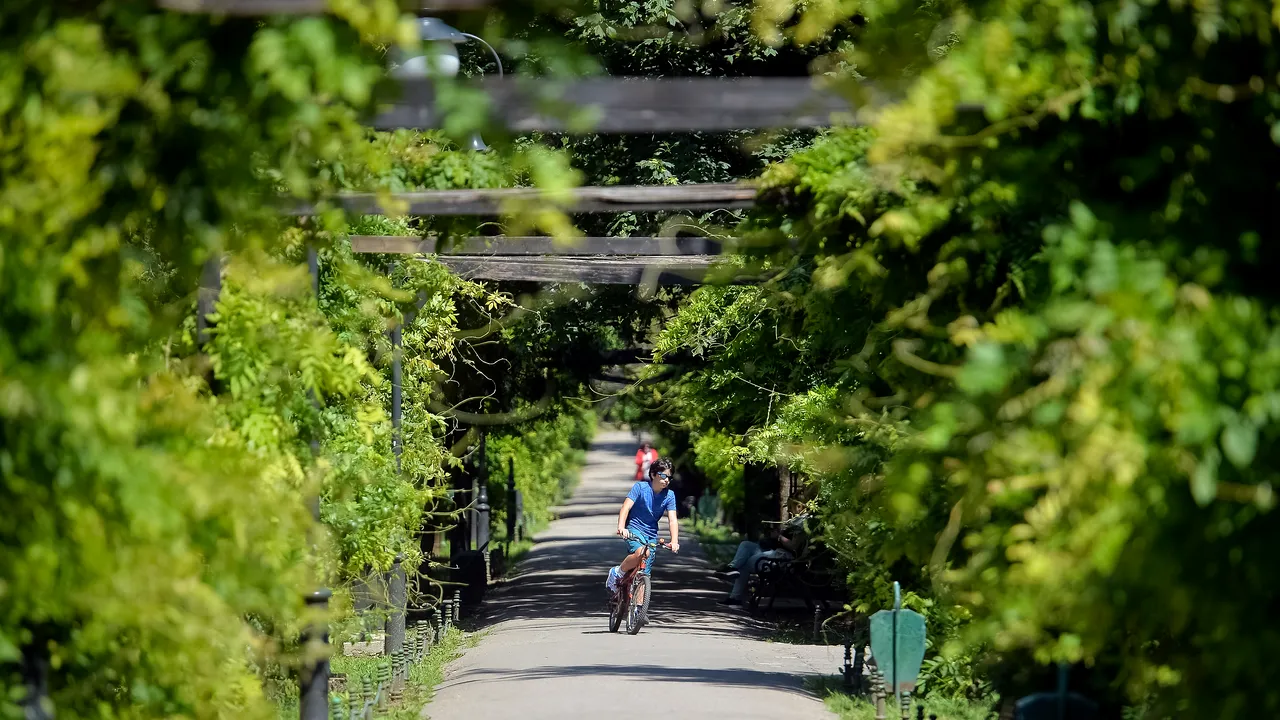 Esti biciclist in Romania? Legea nu te protejează