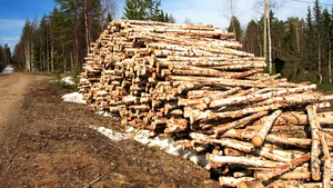 Ionuţ Apostu, numit preşedinte al Administraţiei Fondului pentru Mediu, se retrage din această demnitate şi rămâne viceprimar la Buzău