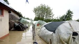 Zeci de solarii din Dâmboviţa, distruse în urma unei furtuni violente. VIDEO