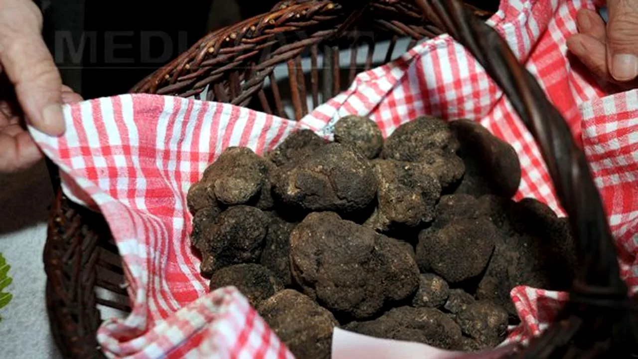 8 kilograme de trufe negre, culese ilegal, confiscate în Bacău