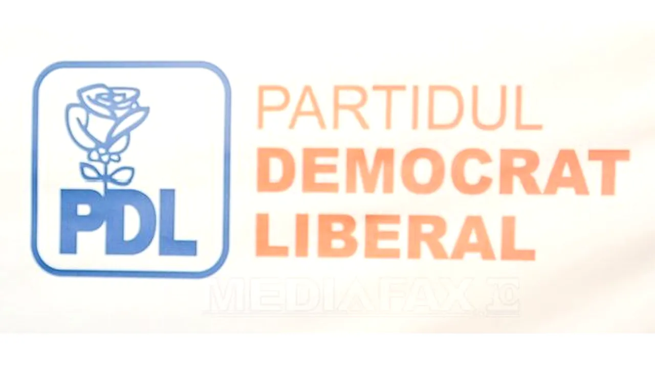 Alegeri în PDL pentru noii prim-vicepreşedinţi, vicepreşedinţi, secretari ai partidului