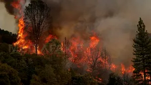 Vast incendiu de vegetaţie în sud-vestul Franţei