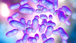 STUDIU. Cercetătorii au descoperit bacterii care, infuzate cu argint, pot produce electricitate 