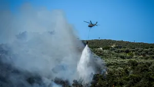 Incendii de vegetație în Siria: Sute de familii evacuate. Intervenție ONU