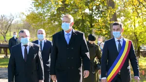 COMENTARIU Lelia Munteanu: Off-line