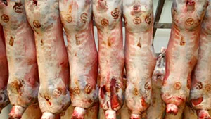 Sacrificările de porcine, păsări, ovine şi caprine au crescut