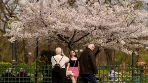 Echinocțiul de primăvară - 20 martie 2026: ce înseamnă, ce efecte are și ce superstiții există