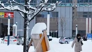 Japonia se confruntă cu furtuni de zăpadă şi rafale puternice de vânt