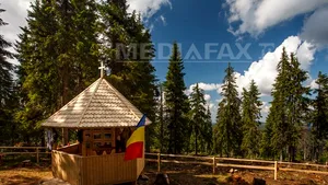 Bărbat găsit decedat în Munţii Apuseni după ce a fost căutat de aproape 40 de salvatori