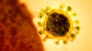 Epidemiolog: Imunitatea nu ne va salva de pandemia de coronavirus