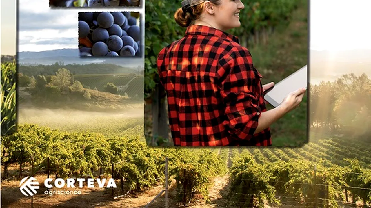 Avansarea practicilor de ambalare circulară pentru un viitor sustenabil al agriculturii