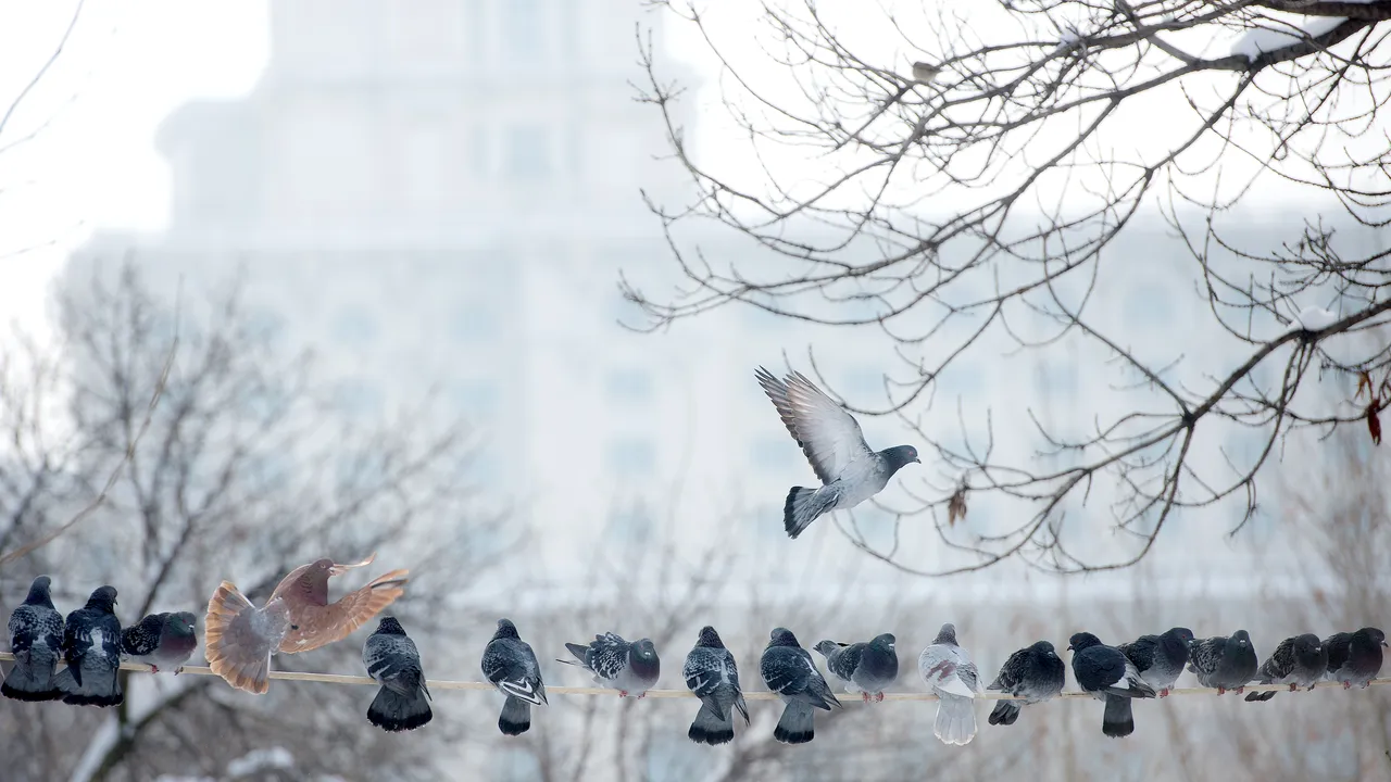 Cum va fi VREMEA în următoarea săptămână | Anunţul de la meteorologi: Vremea se răceşte în toată ţara, iar temperaturile scad sub 10 grade