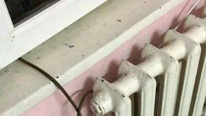 Vlad Voiculescu, despre condiţiile în care şi-a trăit ultimele zile un bolnav de cancer, la Craiova: 