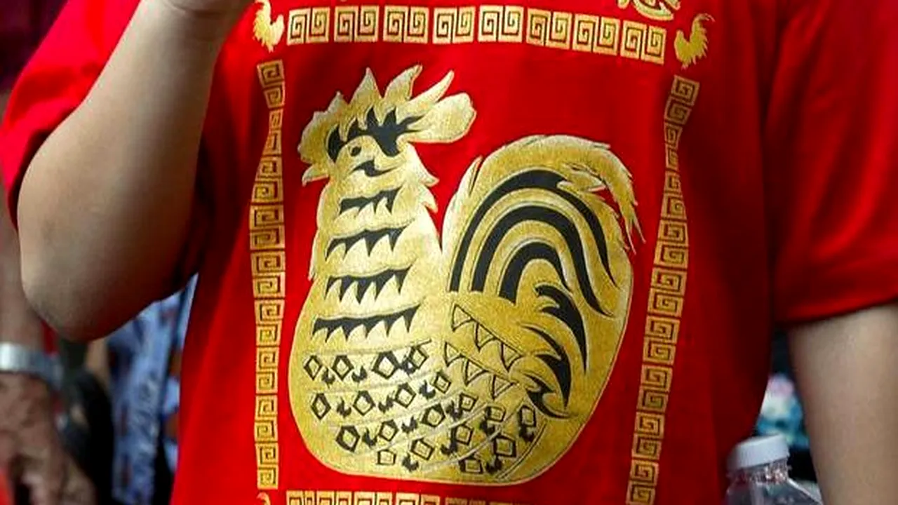 2017, anul Cocoşului de Foc în zodiacul chinezesc: Va fi un an al siguranţei