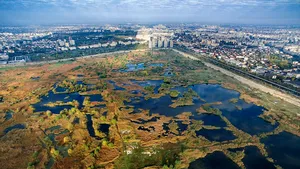 Lacul Văcăreşti din Bucureşti. Delta dintre blocuri, vizitată de englezi: 