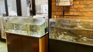 VIDEO Zeci de persoane rănite în cel mai puternic cutremur din Tokyo din ultimii 10 ani