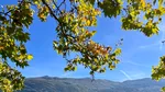 Lacul spectaculos din Italia unde un castel pare să iasă direct din apă. Peisajul pare desprins dintr-un film