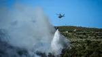 Incendii de vegetație în Siria: Sute de familii evacuate. Intervenție ONU