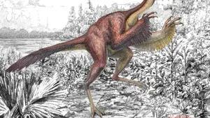O nouă specie de dinozaur cu pene, care semăna cu o găină uriaşă, a fost identificată