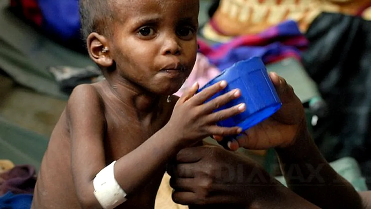 Criza alimentară din regiunea africană Sahel afectează şapte milioane de oameni