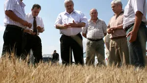 Produsele alimentare autohtone se scumpesc cu 35% din cauza secetei