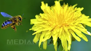 Cum va fi VREMEA până în luna iunie. Prognoza meteo şi HARTA meteorologilor