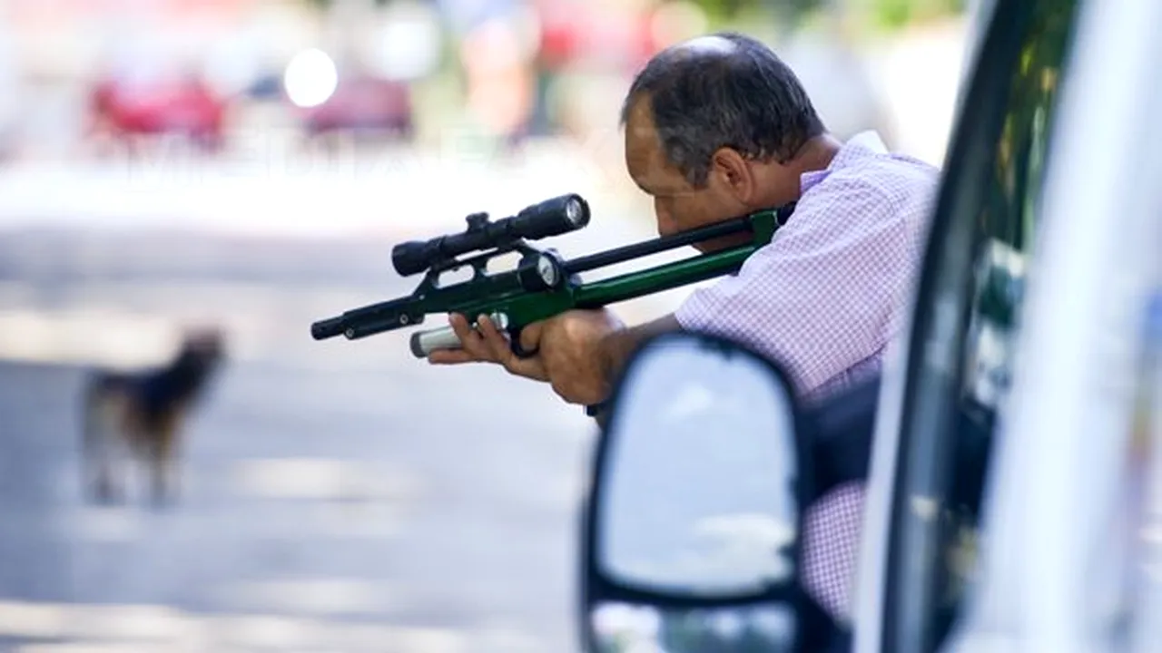 REPORTAJ: Prinderea unui câine în Capitală costă cu 43 de lei mai mult prin firme decât prin ASPA 