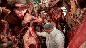Comisia Europeană cere statelor UE să facă TESTE ADN pe produsele din carne de vită