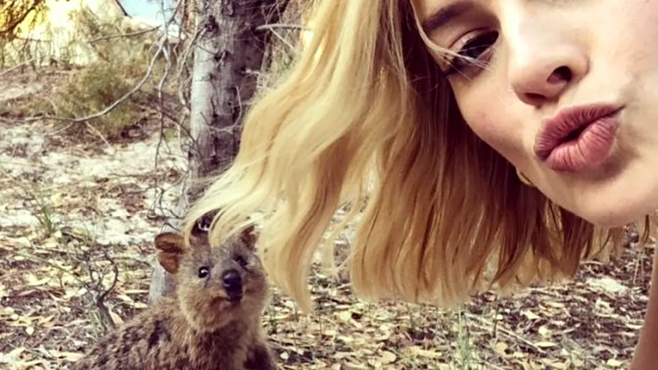 Cum au salvat selfie-urile”cel mai fericit animal din lume”aducând turişti într-o insulă australiană | FOTO