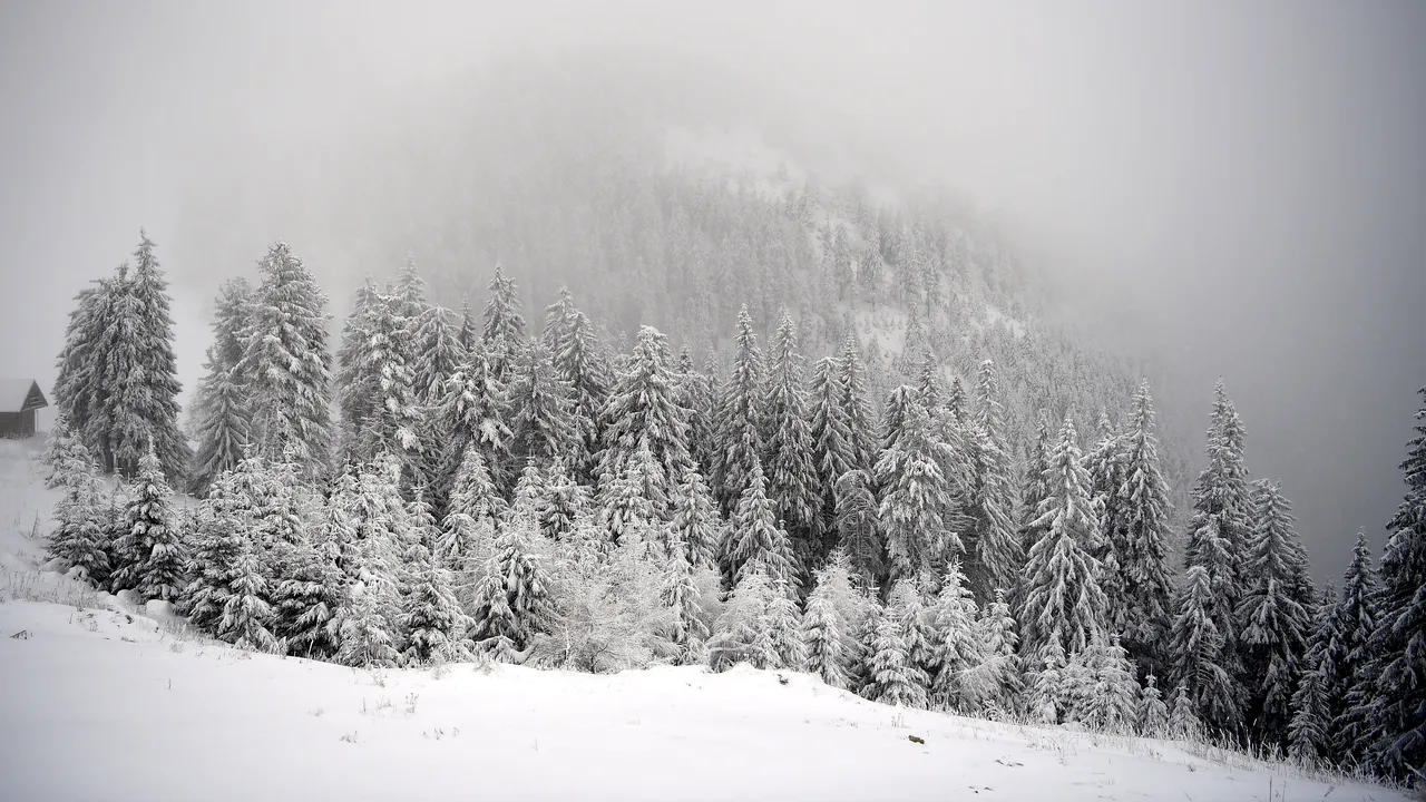 Ninge viscolit pe DN1A, în Cheia. Carosabil umed pe autostrăzi