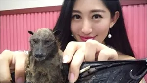 O bloggeriţă din China, nevoită să îşi ceară scuze după ce s-a filmat mâncând un liliac: 