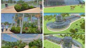 Escapadă exotică într-un oraş din ţară. Lucrările la sera cu palmieri costă peste 3 milioane de euro | FOTO