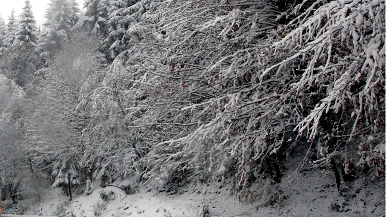 Traficul pe DN 67 D, blocat din cauza unei avalanşe, a fost reluat