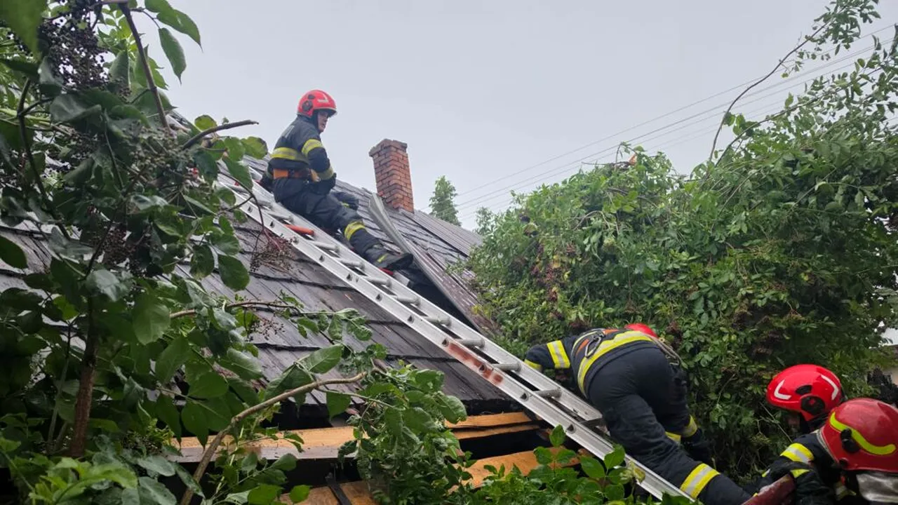Vântul puternic a făcut ravagii în Suceava: acoperișuri distruse și arbori căzuți