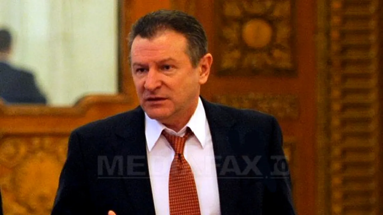 Berceanu: Nu mai candidez la parlamentare, renunţ la şefia PDL Dolj până la sfârşitul anului