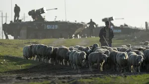 IMAGINI de la exerciţiul multinaţional 