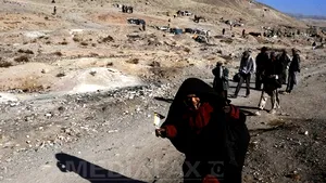 Raport ONU: Suprafeţele cultivate cu opiu au atins un nivel record în Afganistan în 2013 - FOTO