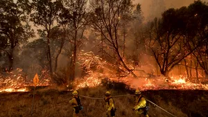 VIDEO Statul american California, afectat de 14 incendii simultane. 8.000 de persoane au fost evacuate