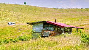 RECOMANDAREA SĂPTĂMÂNII-VISIT TIMIȘ