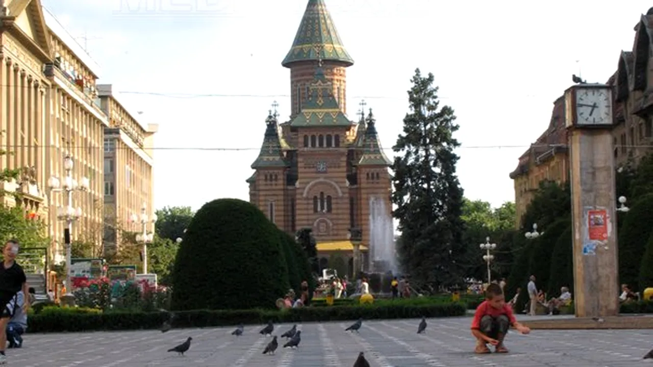 Circa 110.000 de sălcii energetice plantate într-un cartier din Timişoara, investiţie de 67.000 lei