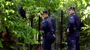 Poliţişti atacaţi de un grup de albanezi din Kosovo, care furau cherestea