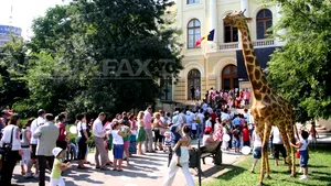 Muzeul Antipa s-a redeschis. Sute de oameni au format cozi la intrare pentru a vedea expoziţia - GALERIE FOTO, VIDEO