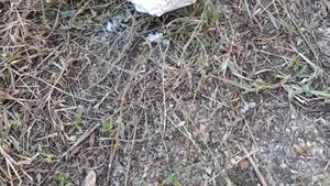Proiectil cu încărcătură explozivă, descoperit la Aeroportul Oradea