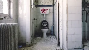 Ziua Mondială a Toaletei. Câte persoane din lume îşi fac încă nevoile în aer liber zilnic