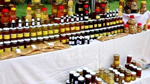 Iarmarocul Bucureştilor, de Sfântul Andrei, la Palatul Şuţu din Capitală