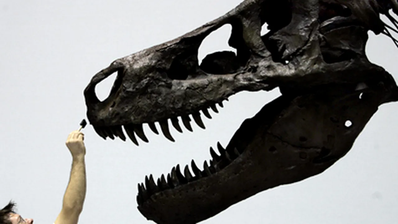 O boală parazitară a păsărilor, posibilă cauză a dispaţiei dinozaurilor T-Rex