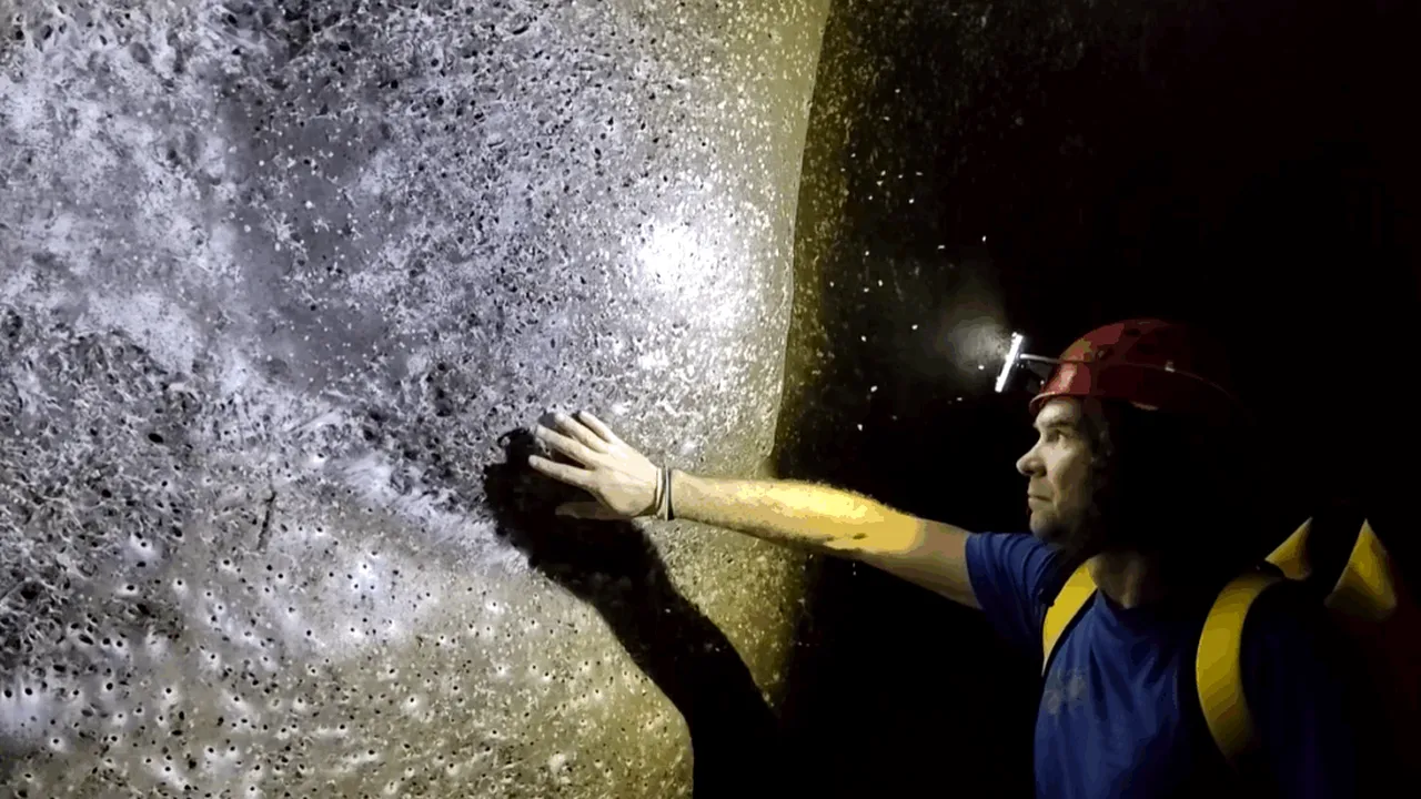 Cea mai mare colonie cu pânză de păianjeni din lume, analizată de un profesor de la Universitatea Sapientia din Transilvania