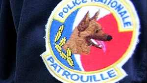 Câinii poliţişti din Paris vor fi echipaţi cu şosete