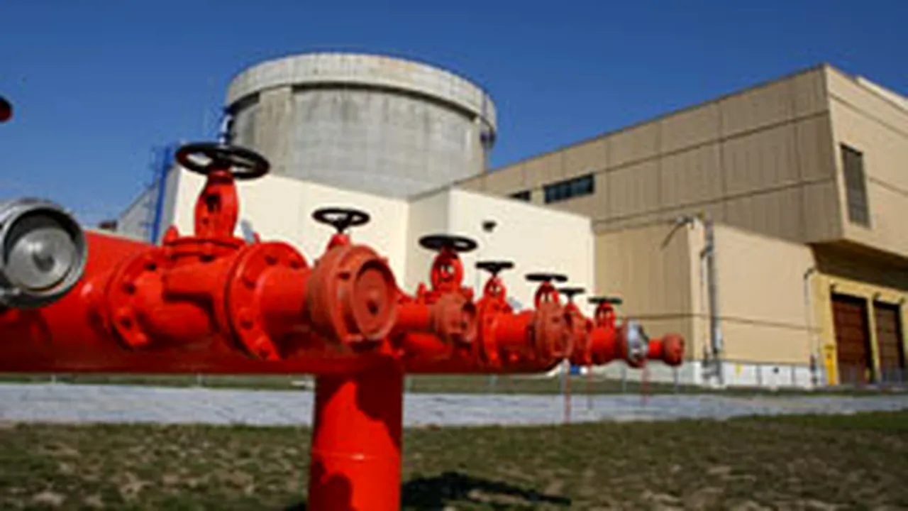 A doua centrală nucleară din România va avea între două şi patru reactoare